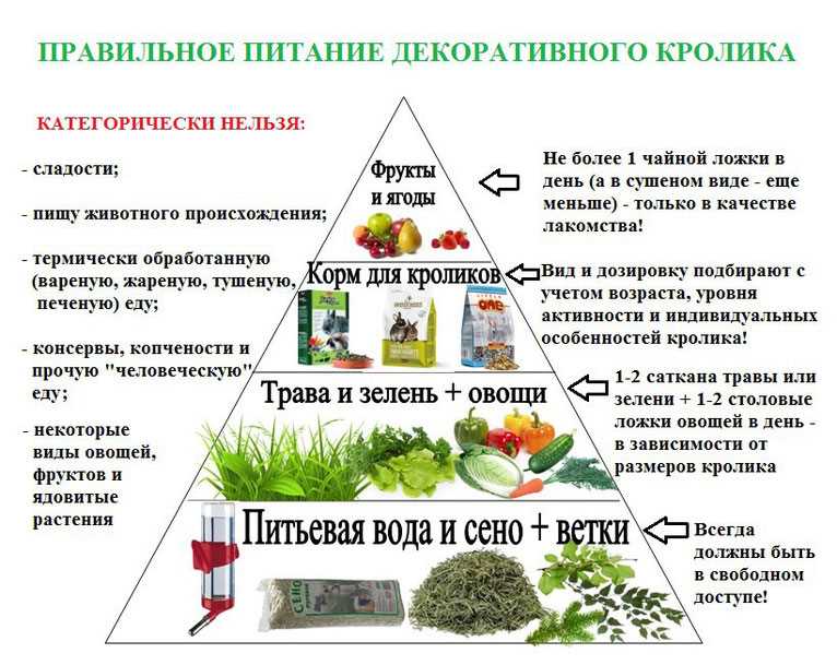 Потенциально вредные продукты