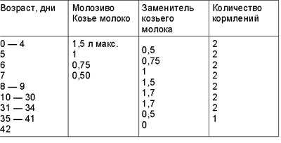 Правила кормления козлят грудным молоком