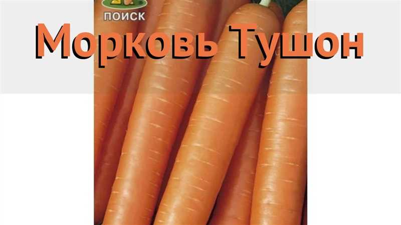 Уход за морковью Тушон