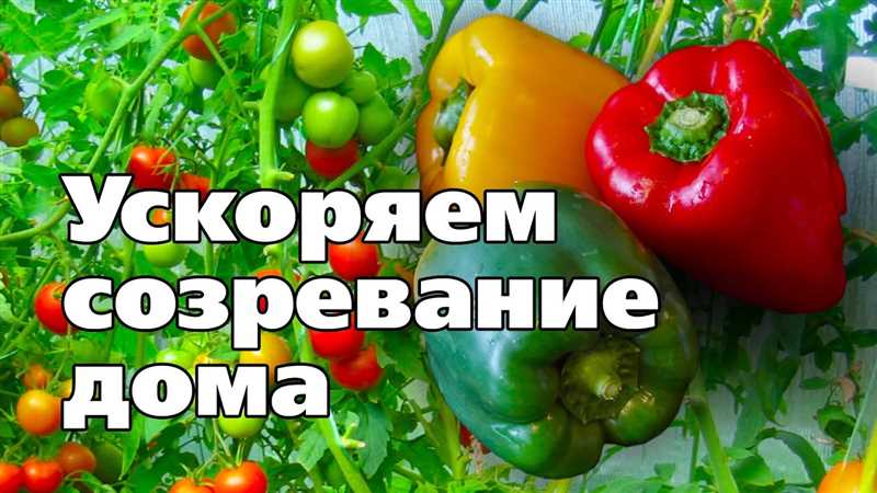 Учитывайте свои предпочтения по вкусу