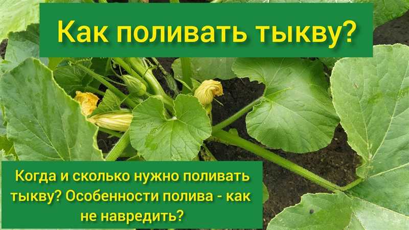 Исключение - горячие климатические условия