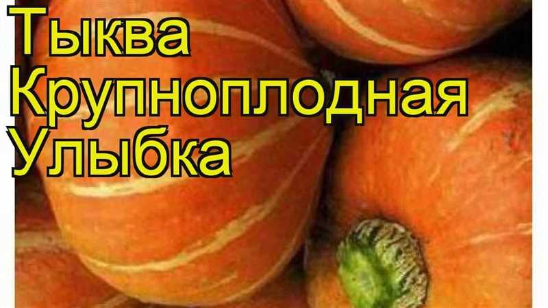 Преимущества сорта тыквы Улыбка